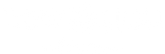 New You Collective